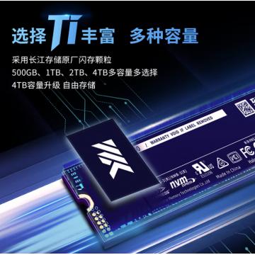 致态（ZhiTai）长江存储 1TB SSD固态硬盘 NVMe M.2接口 Ti600系列 (PCIe 4.0 产品)
