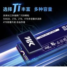 致态（ZhiTai）长江存储 1TB SSD固态硬盘 NVMe M.2接口 Ti600系列 (PCIe 4.0 产品)